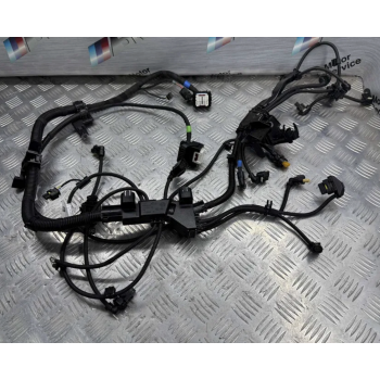 Проводка двигуна B48B20B, B48D