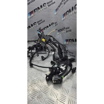 Проводка двигуна N63B44D